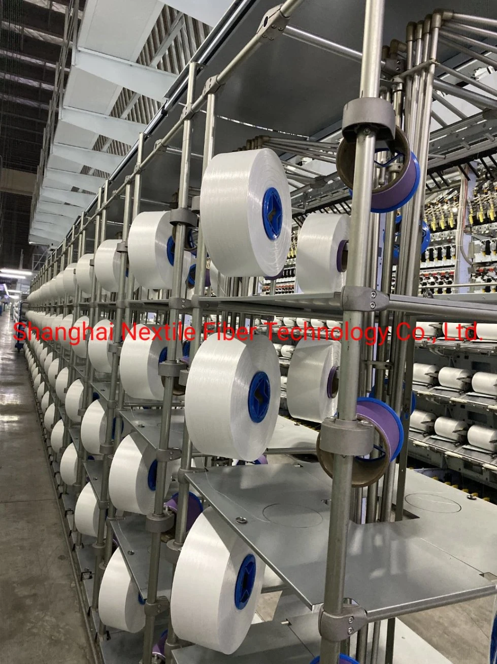 Elastic and Good Stretch PBT DTY 50d/24f Br Polyester Yarn